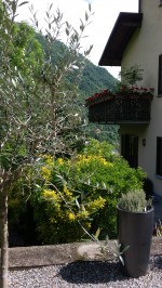 Images for Argegno
