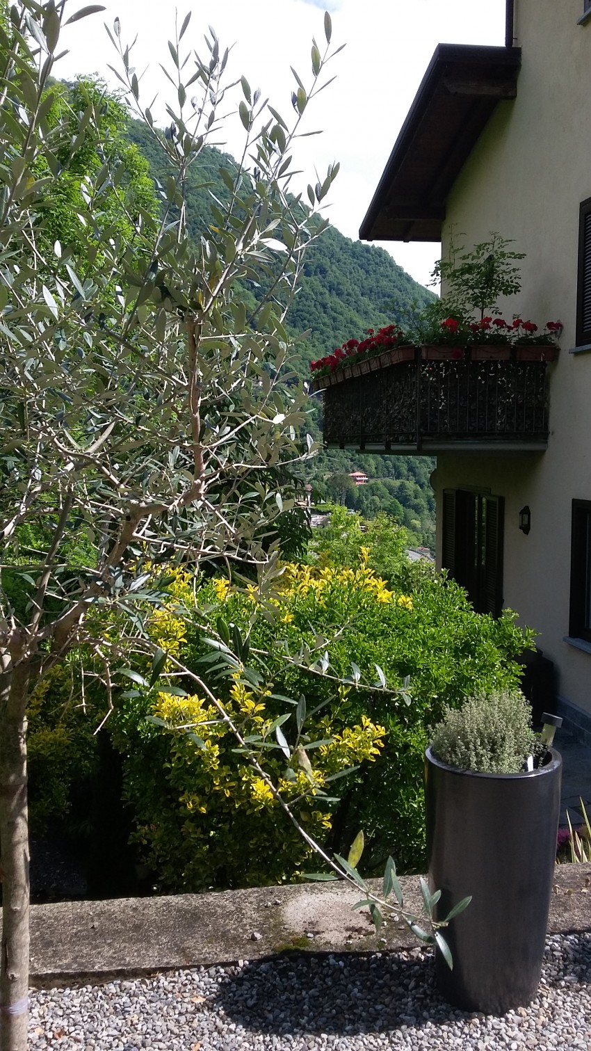 Images for Argegno