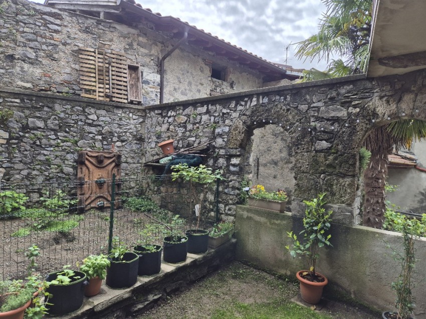 Images for Grandola ed Uniti