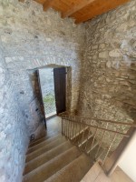 Images for Grandola ed Uniti